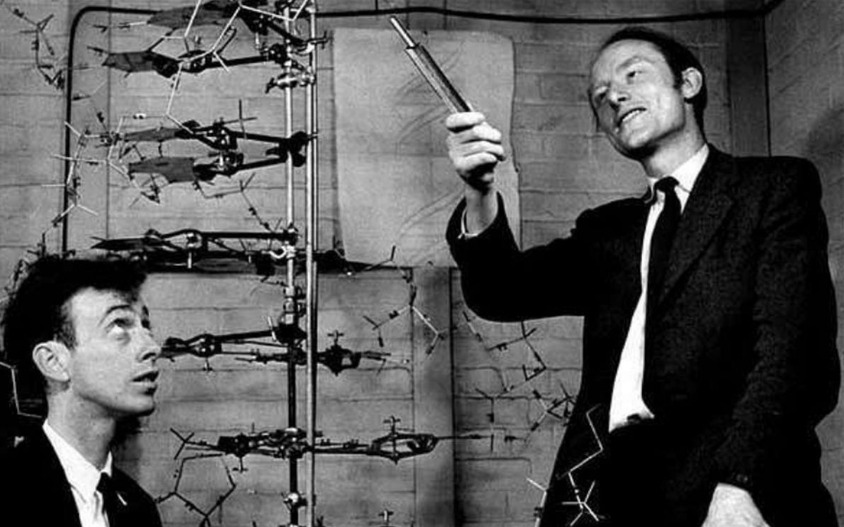 Watson and Crick showing off their DNA model in 1953.