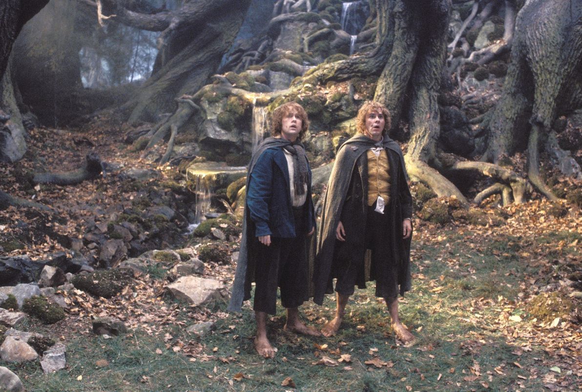 Hobbits ask ents if they're part of this world