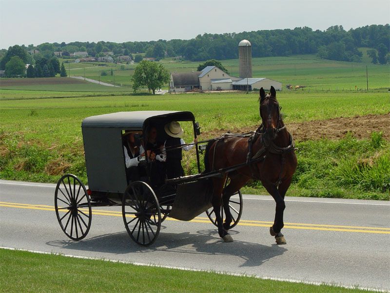 Amish people in a coach.